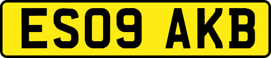 ES09AKB