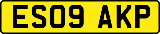 ES09AKP