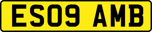 ES09AMB