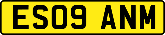 ES09ANM