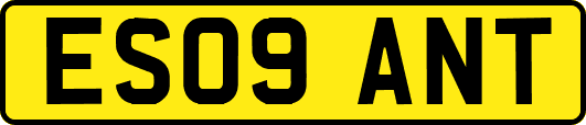 ES09ANT