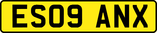 ES09ANX