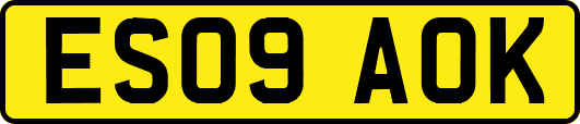 ES09AOK