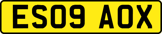 ES09AOX