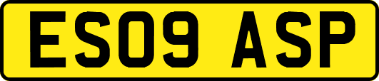 ES09ASP