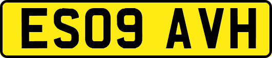 ES09AVH