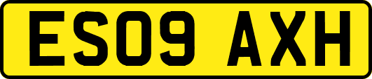 ES09AXH