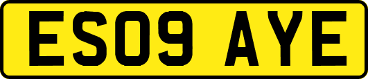 ES09AYE