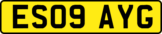 ES09AYG