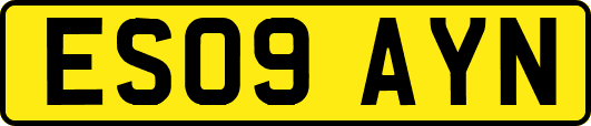 ES09AYN