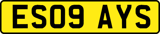 ES09AYS
