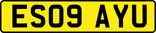 ES09AYU