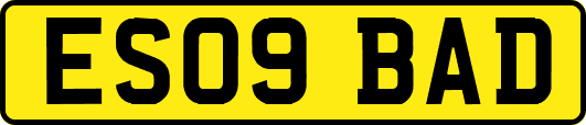 ES09BAD