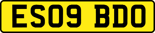ES09BDO