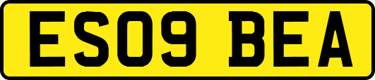 ES09BEA