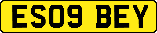 ES09BEY