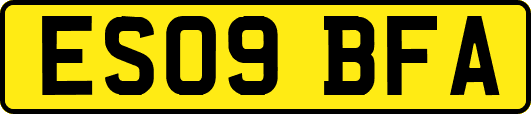 ES09BFA