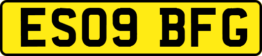ES09BFG