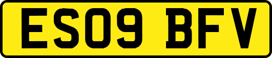 ES09BFV