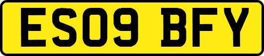 ES09BFY