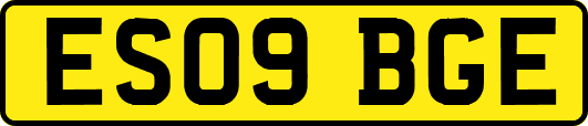 ES09BGE