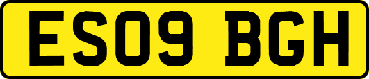 ES09BGH