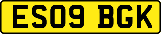 ES09BGK