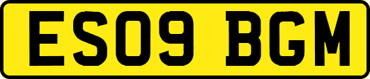 ES09BGM