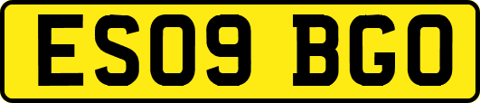 ES09BGO