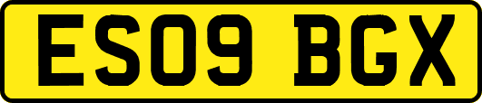 ES09BGX