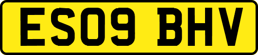 ES09BHV
