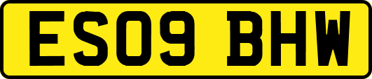 ES09BHW