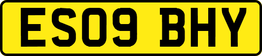 ES09BHY