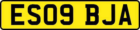 ES09BJA