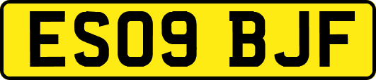ES09BJF
