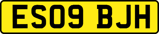 ES09BJH