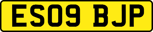 ES09BJP