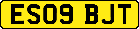 ES09BJT