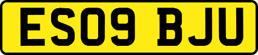 ES09BJU