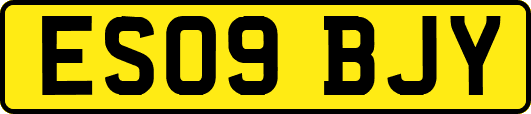 ES09BJY