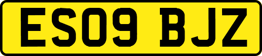 ES09BJZ