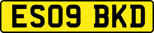 ES09BKD