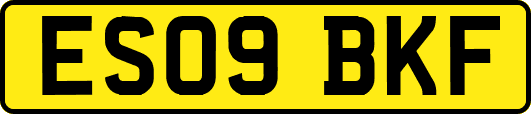 ES09BKF