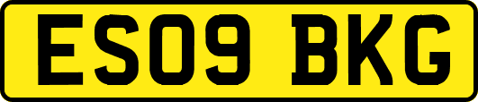 ES09BKG