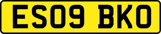 ES09BKO