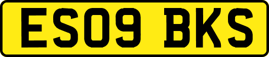 ES09BKS
