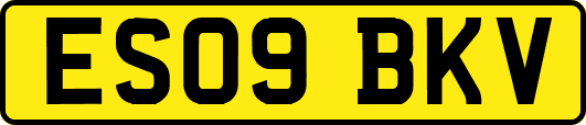 ES09BKV