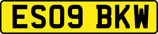 ES09BKW
