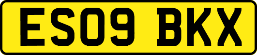 ES09BKX