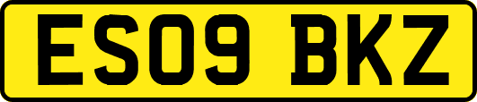 ES09BKZ